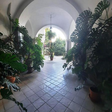 La Casa Delle Camelie Hotel Мета Екстериор снимка