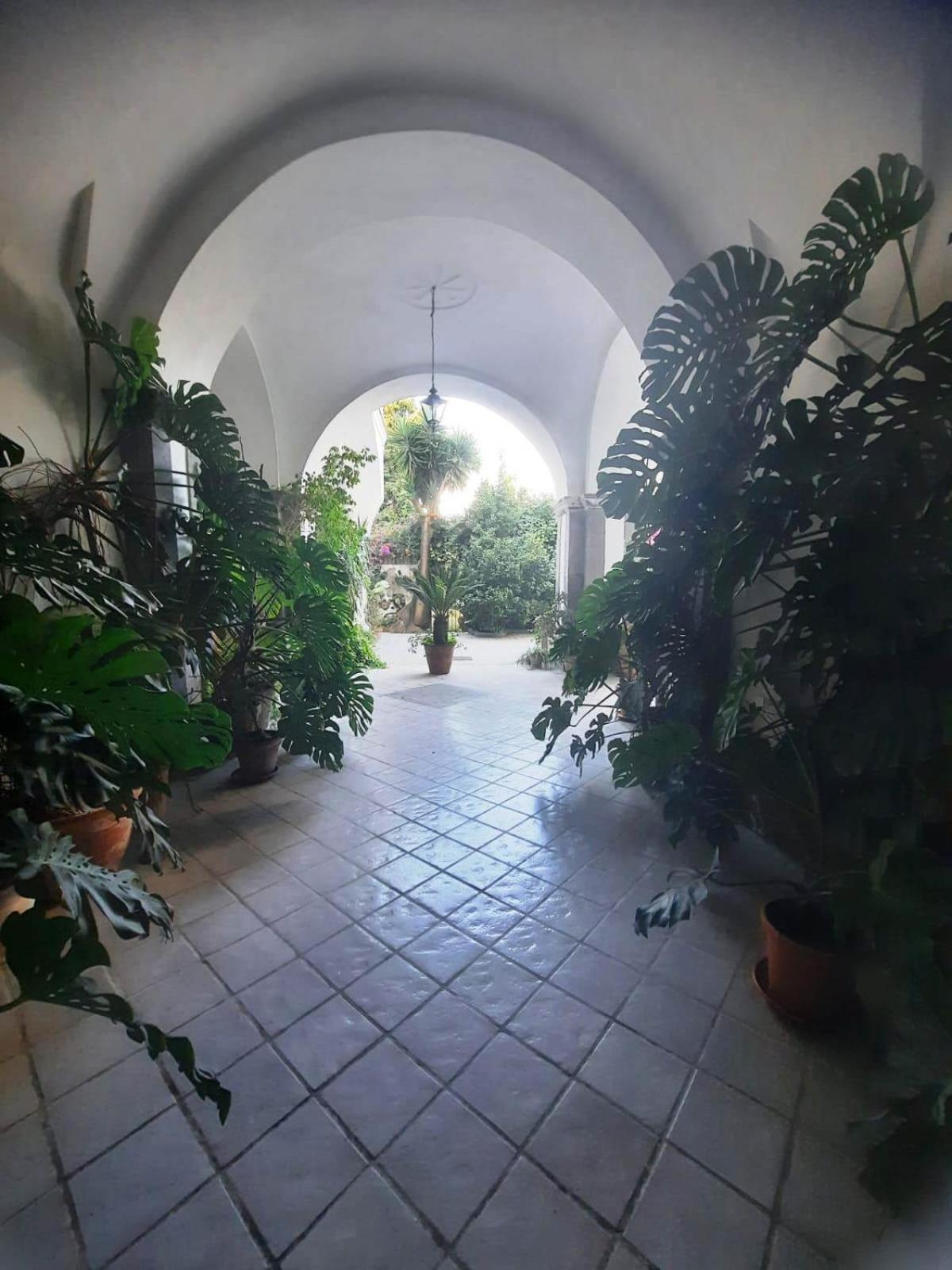 La Casa Delle Camelie Hotel Мета Екстериор снимка